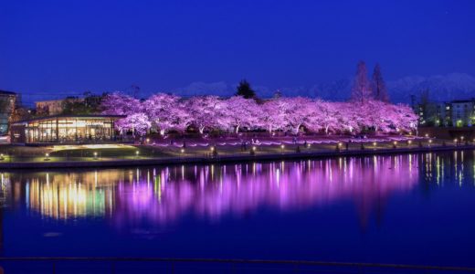 富山の桜スポット2020！富岩運河環水公園の開花や見頃はいつ？見所や口コミも！