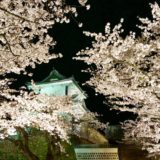 金沢の桜スポット2020！兼六園の無料開放はいつから？見頃時期や口コミも！